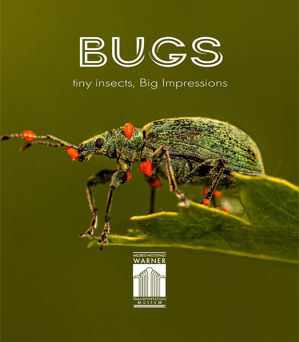 Image for BUGS Exhibit