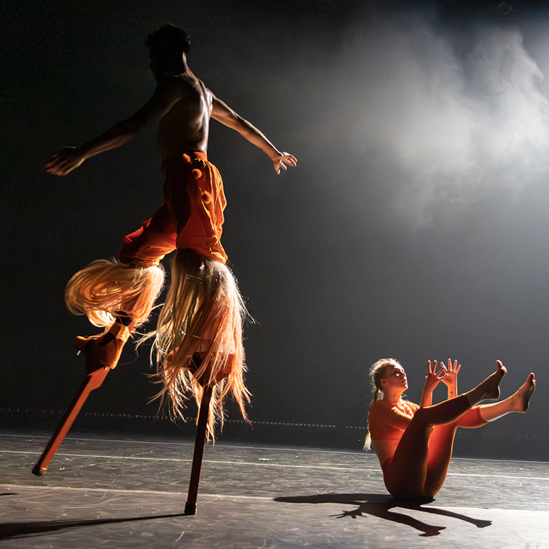 Image for GALLIM, Bodies of Matter