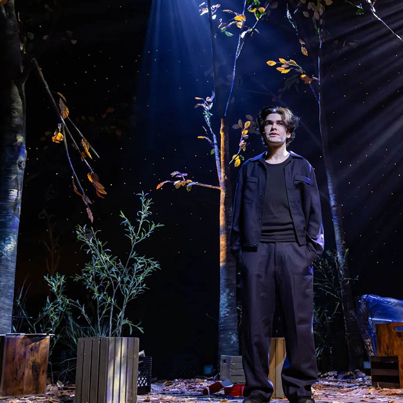 Image for Scott Silven, The Lost Things - IDR