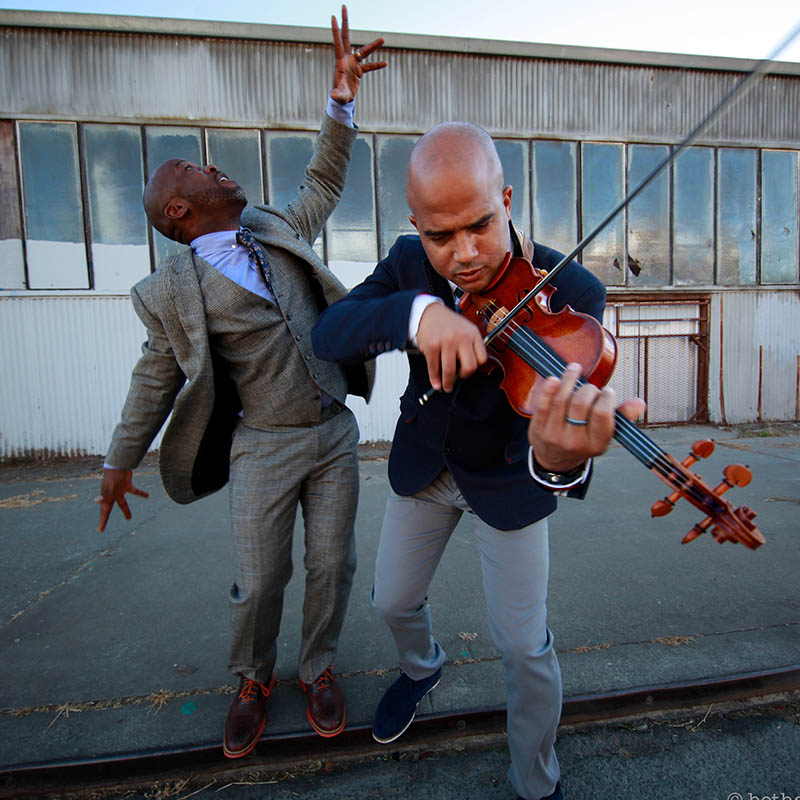 Image for Blackbird, Fly