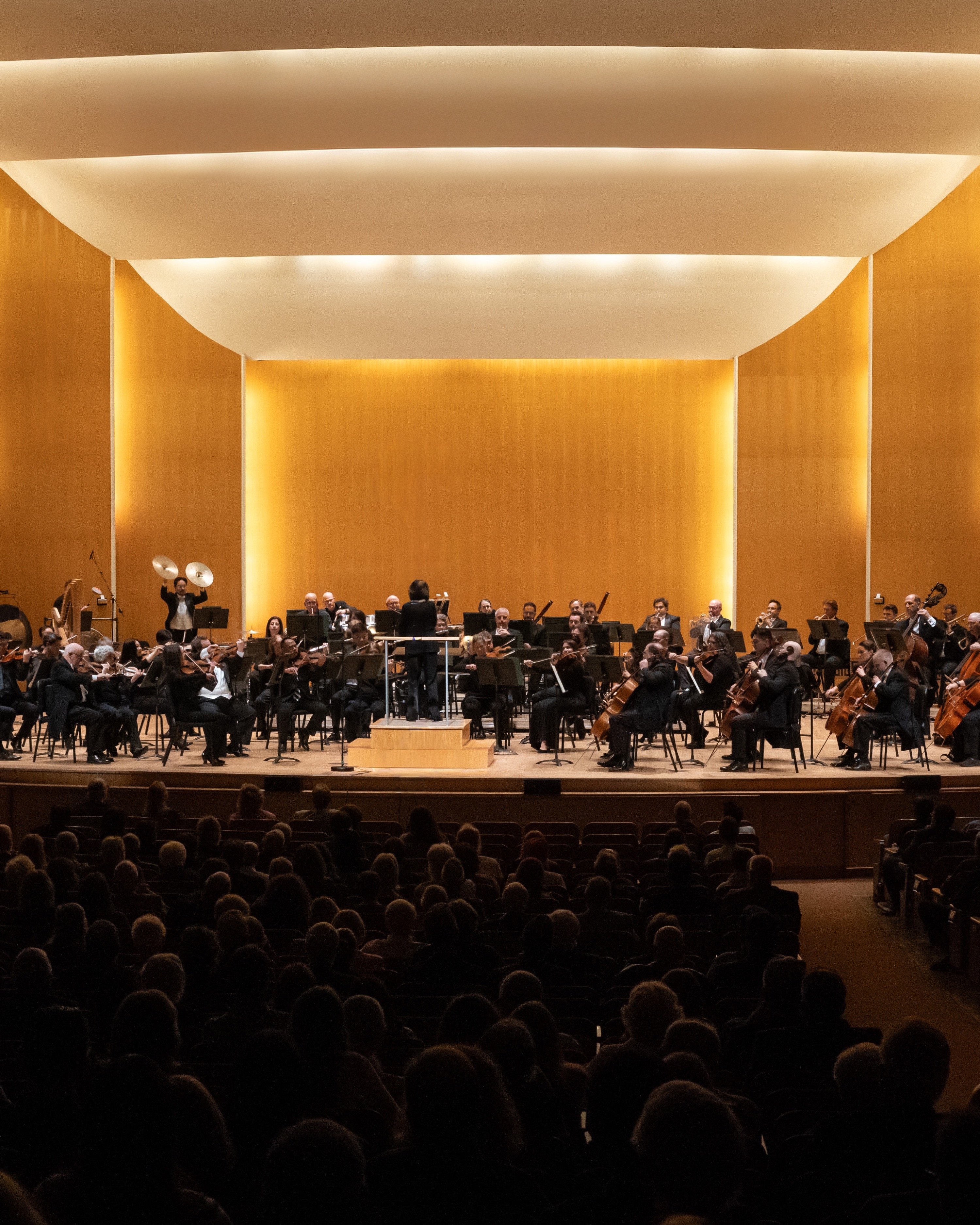 Image for Patron Appreciation Concert