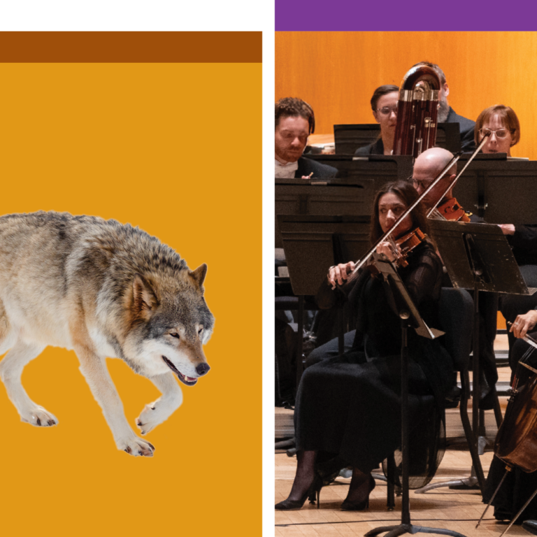 Image for Peter and the Wolf