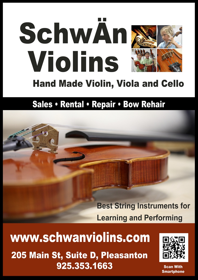 SchwÄn Violins