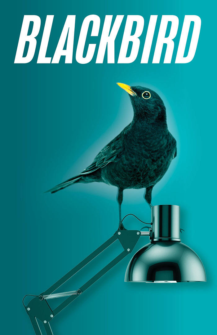 Image for Blackbird