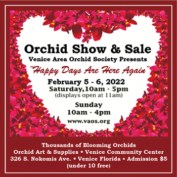 Orchid Society