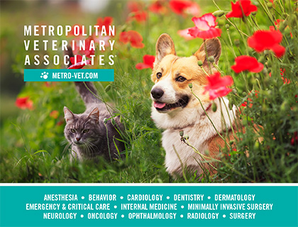 Metropolitan Veterinary Associates