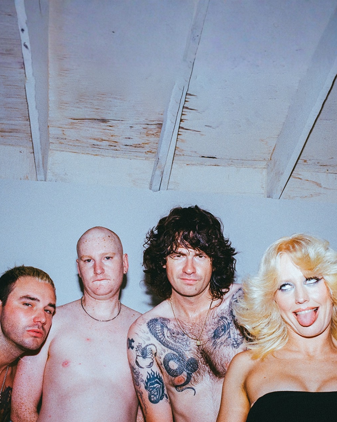 Image for Amyl and The Sniffers