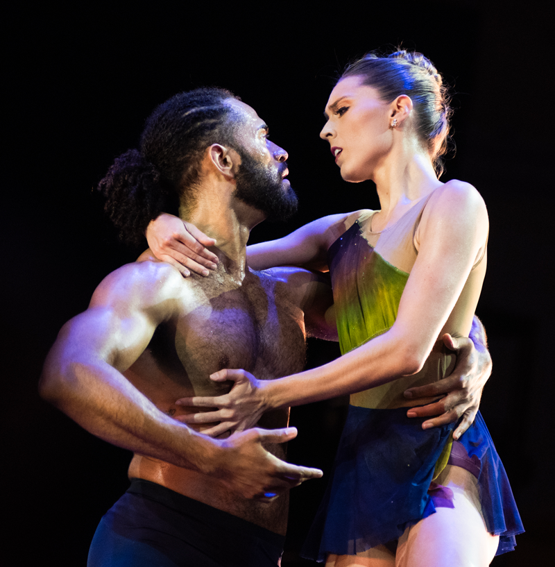 Image for All-Star Dance Gala