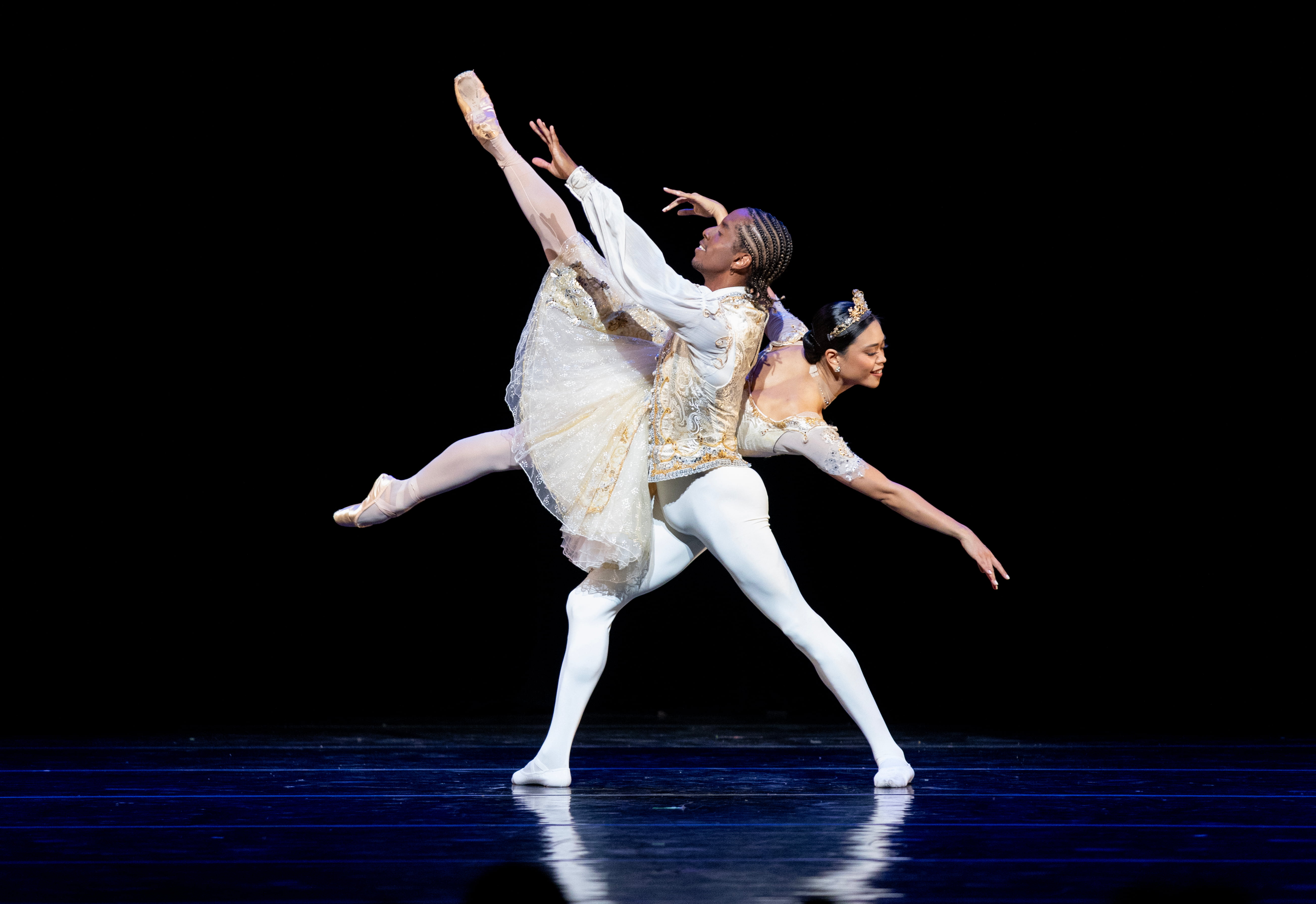 Image for All-Star Dance Gala