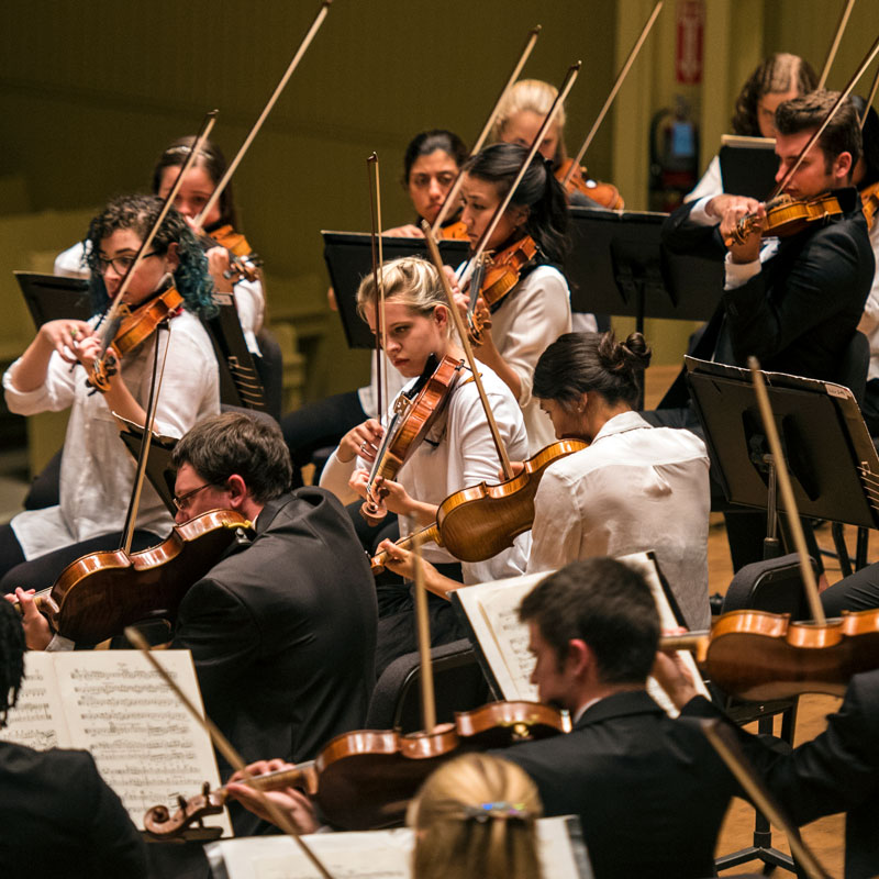 Image for School of Music Cello Studio Recital