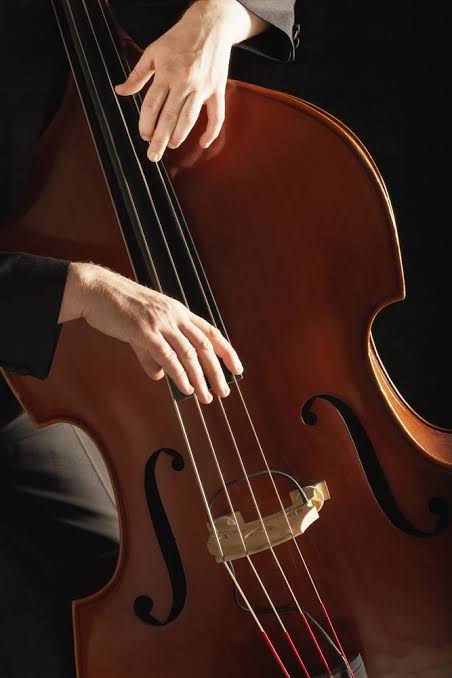 Image for School of Music: Double Bass Recital