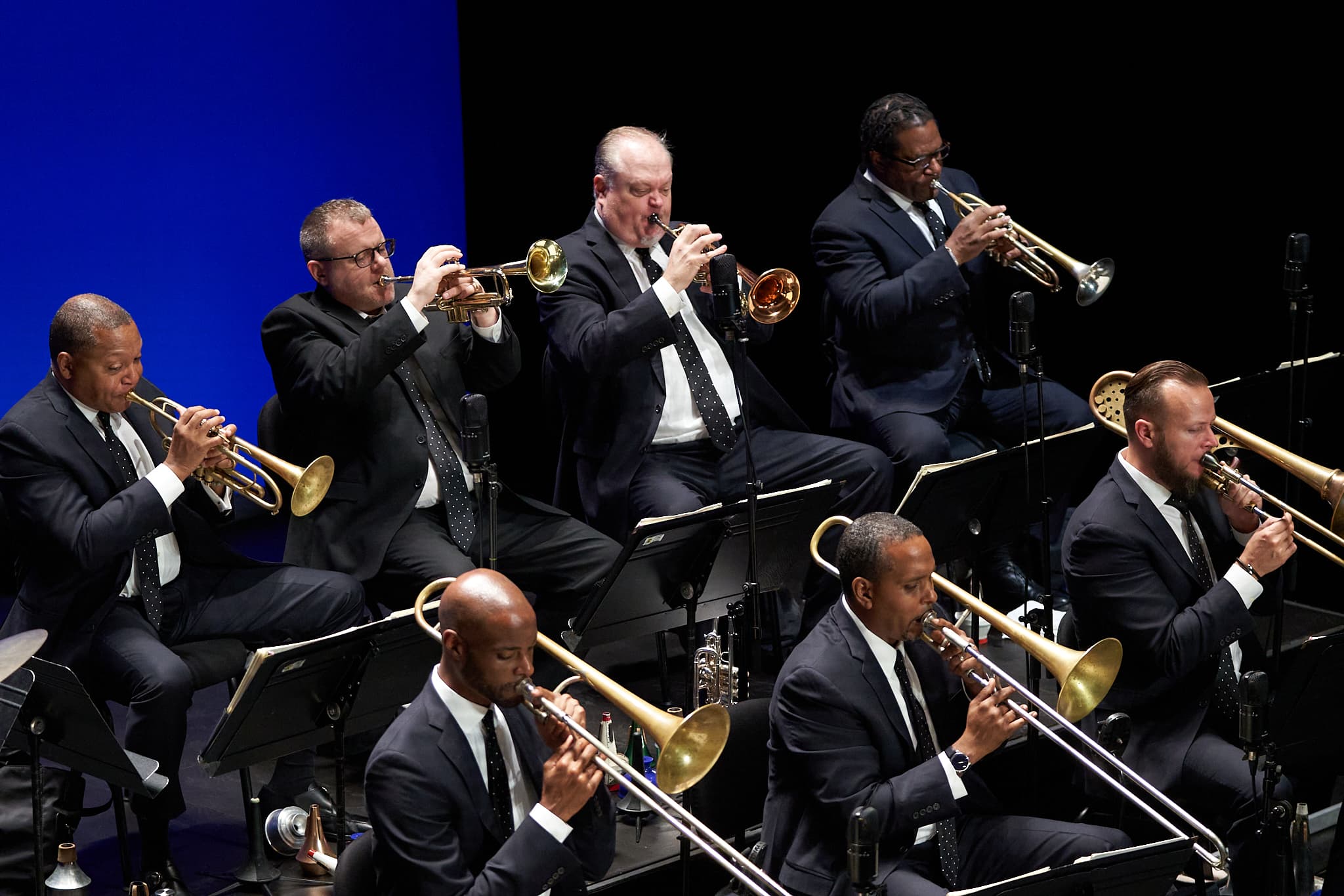 Image for Wynton Marsalis' All Rise