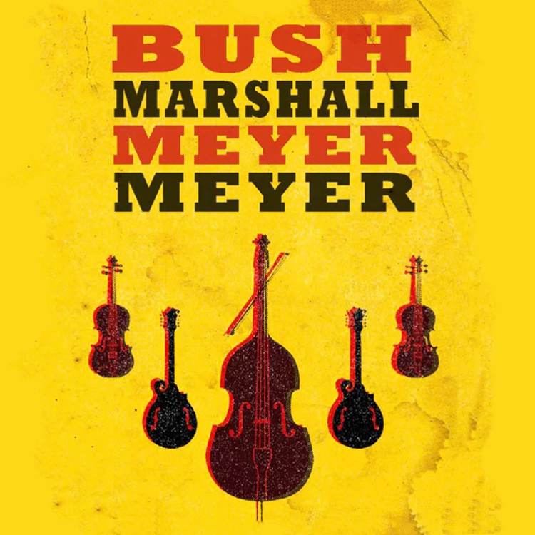 Image for Bush Marshall Meyer Meyer