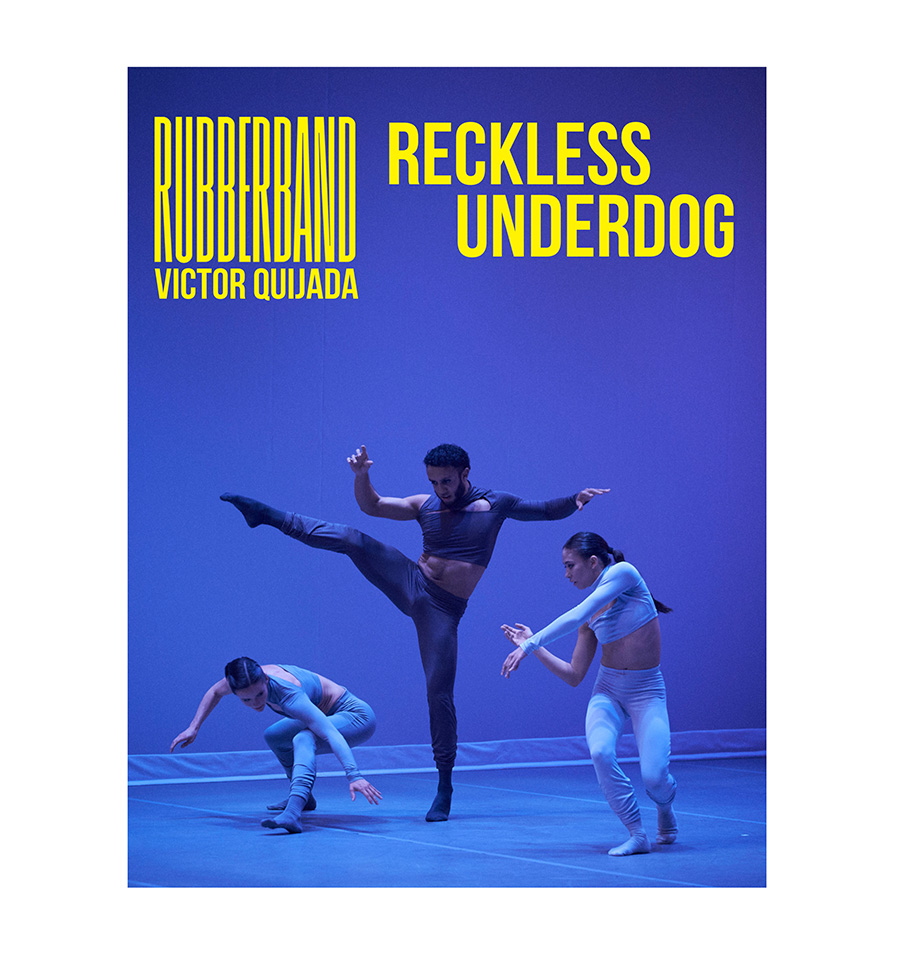 Image for Reckless Underdog