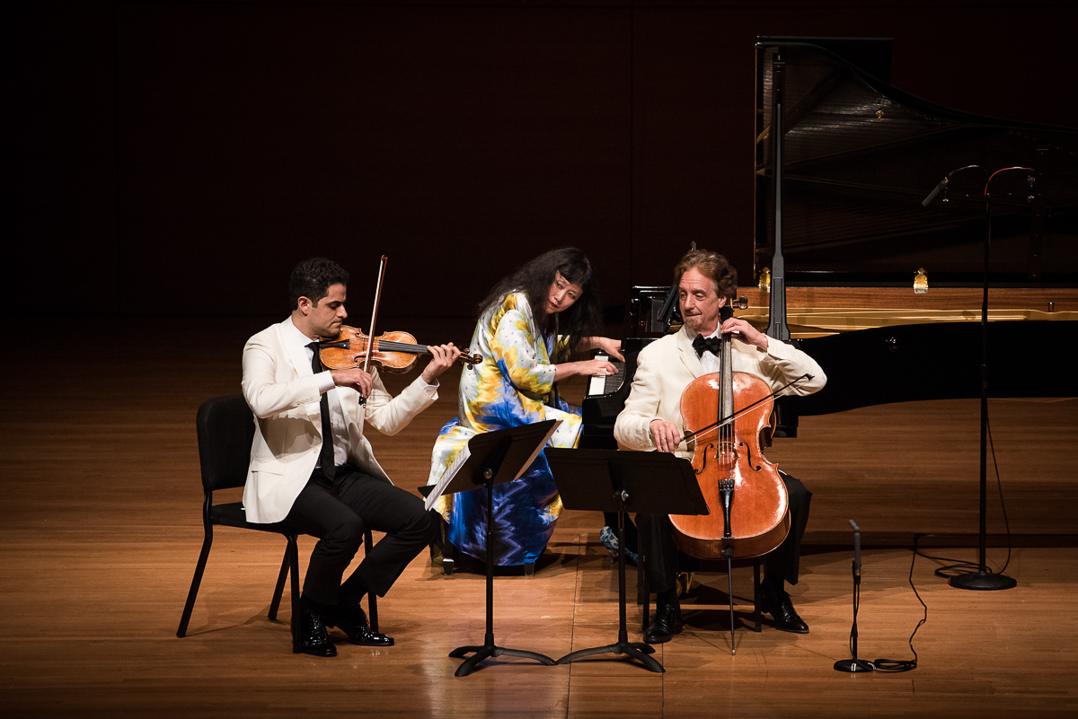 Image for CMS at the Meadows: The German Tradition
