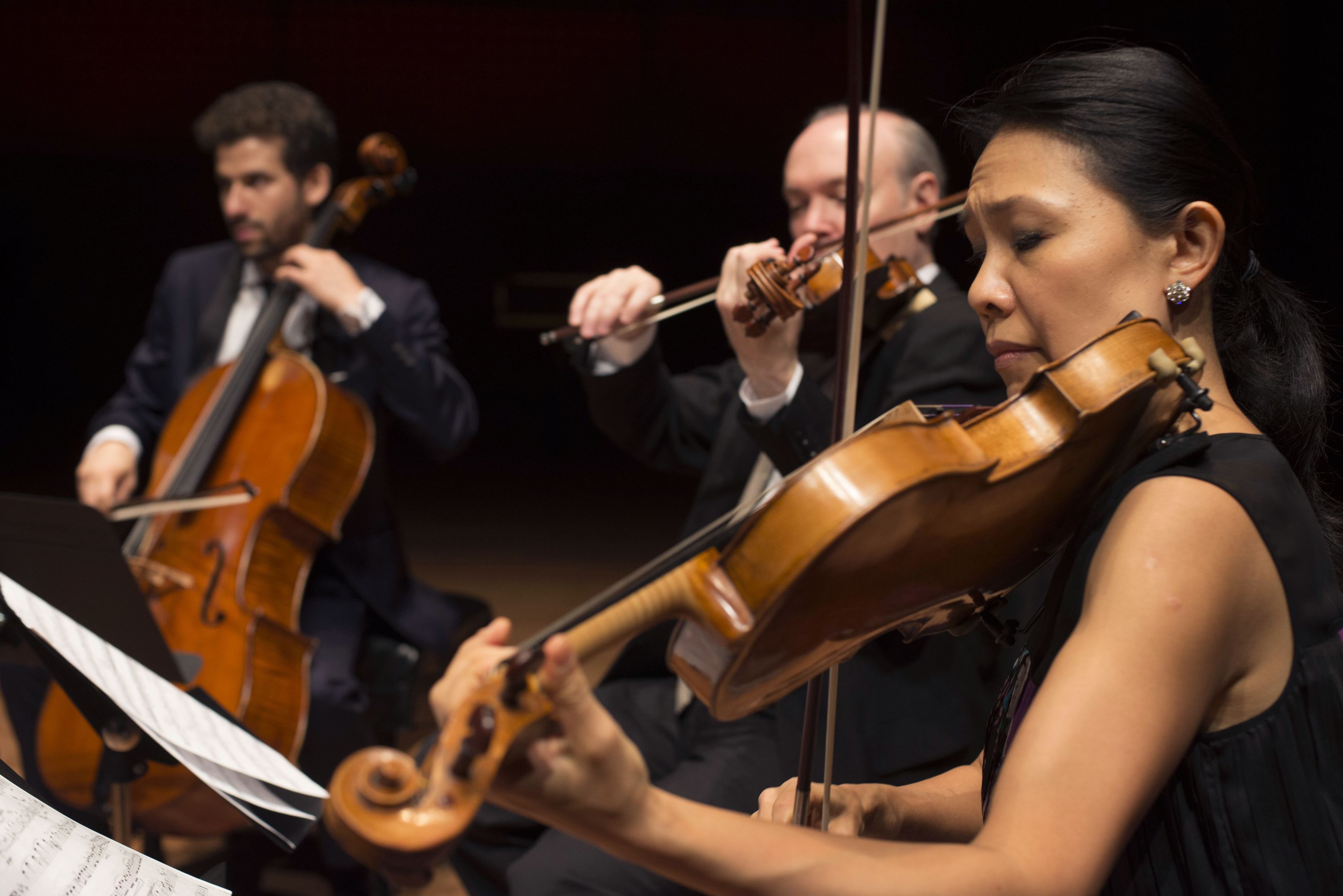 Image for CMS at the Meadows: Delectable Discoveries