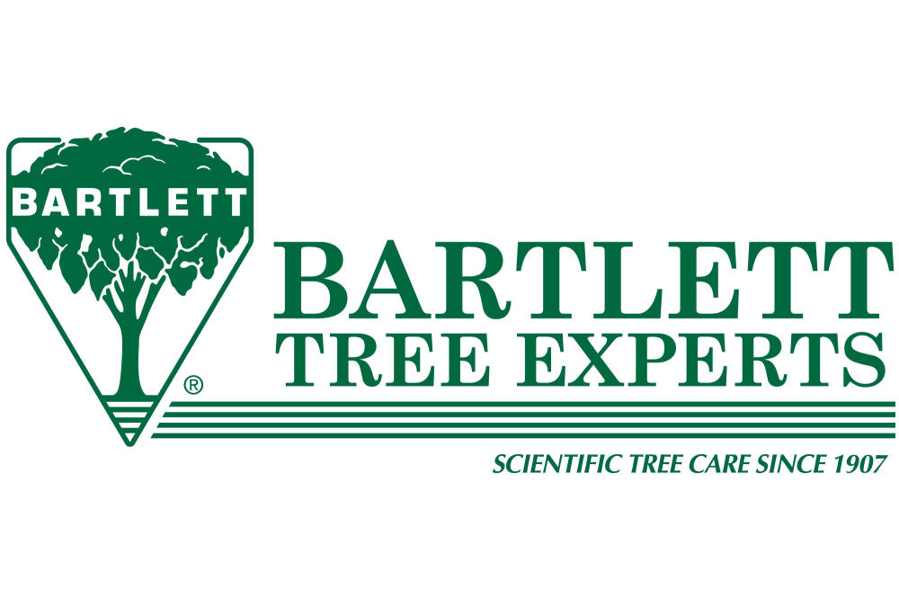 BARTLETT TREE