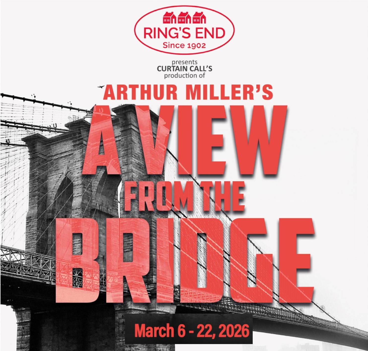 Image for A View From the Bridge