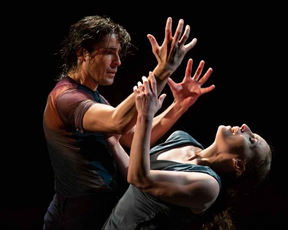 Image for Soledad Barrio and Noche Flamenca: Searching for Goya