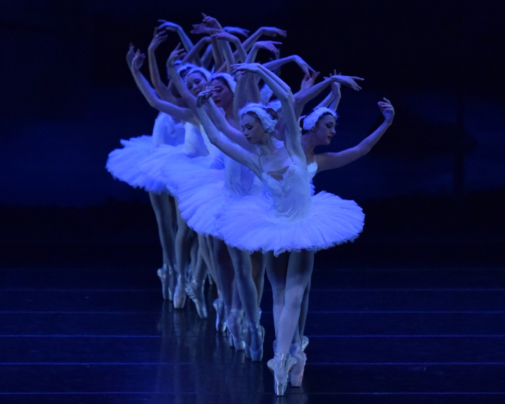 Image for Festival Ballet Theatre: Swan Lake