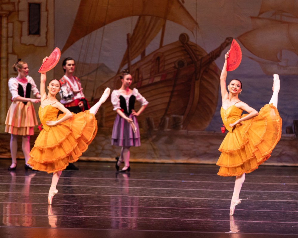 Image for Don Quixote