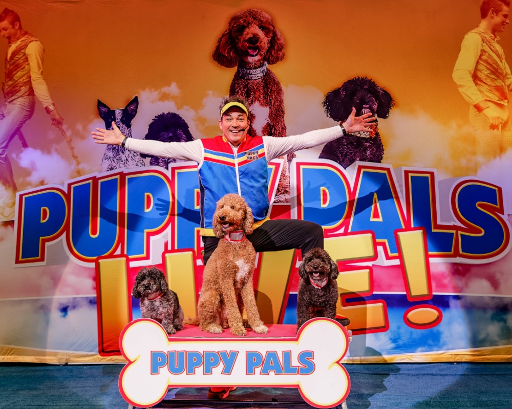 Image for Puppy Pals Live: The Action-Packed Comedic Stunt Dog Show