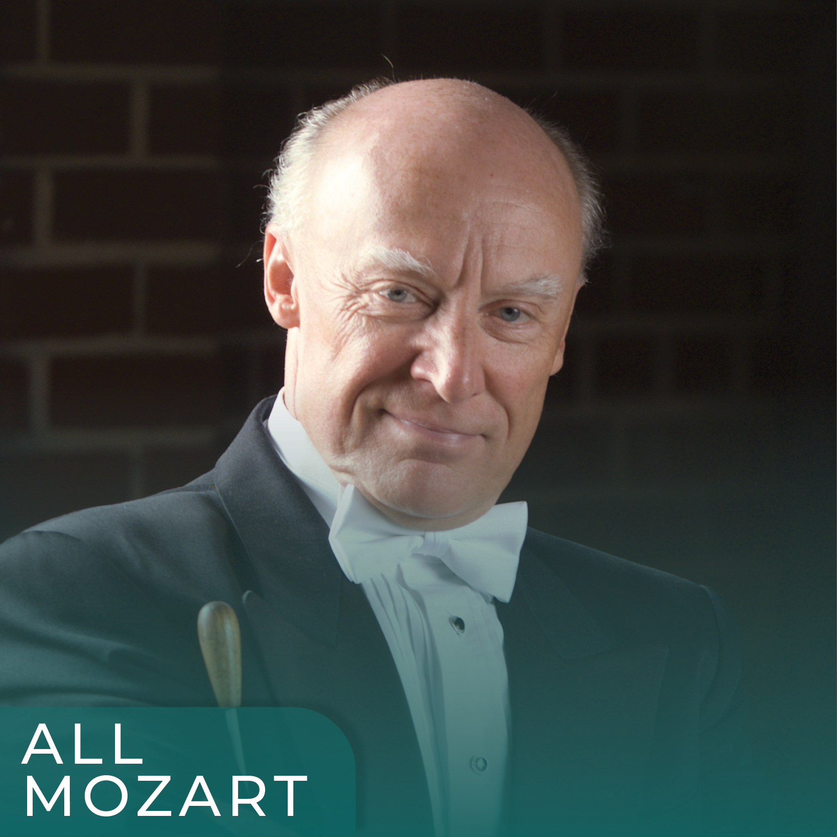 Image for Chamber Series - All Mozart