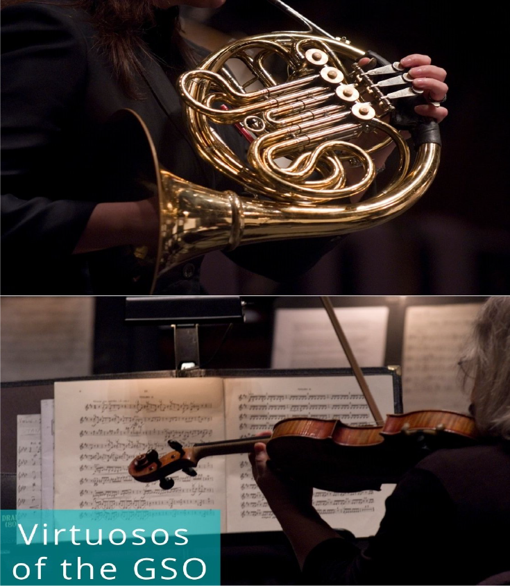 Image for Virtuosos of the GSO