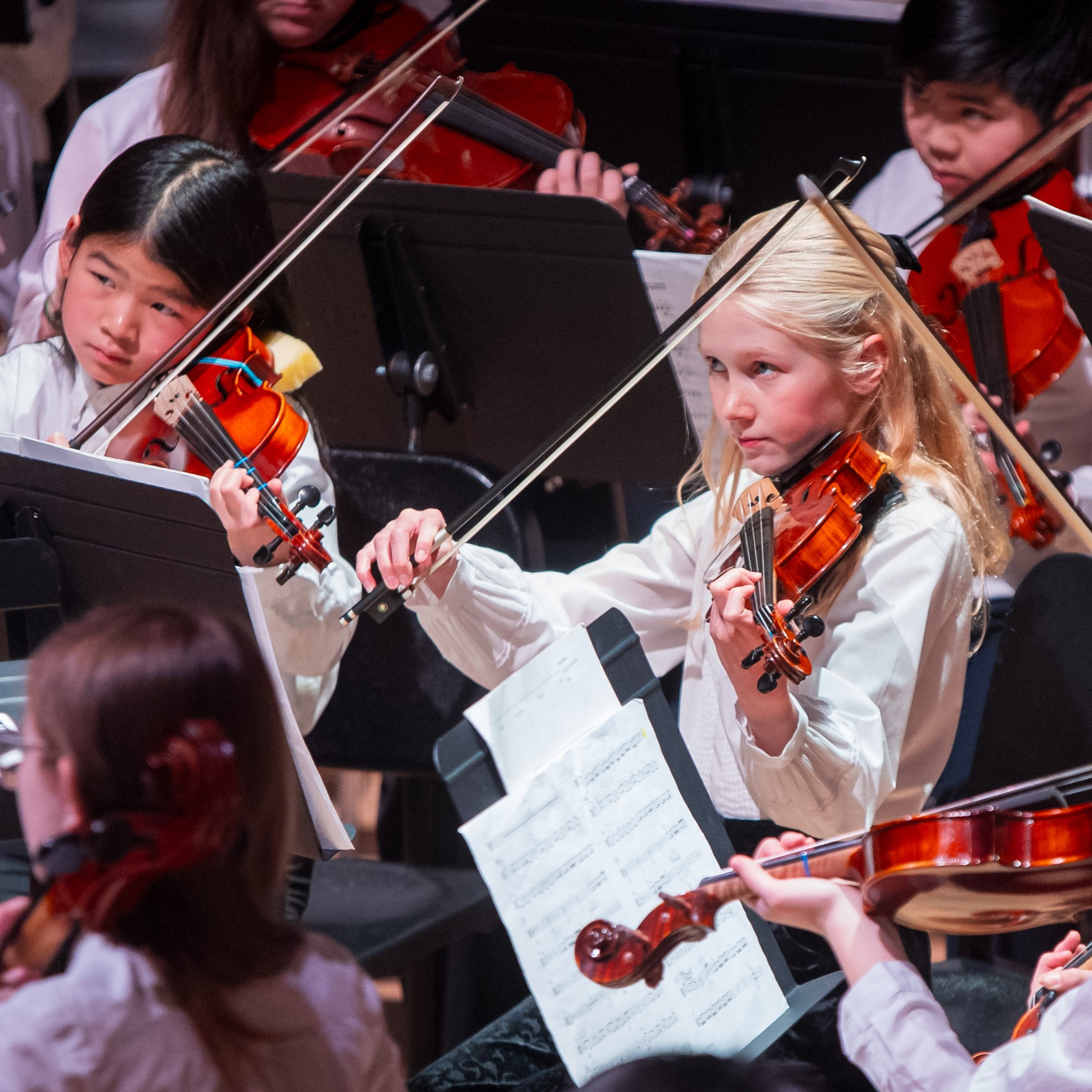 Image for CELEBRATION OF STRINGS