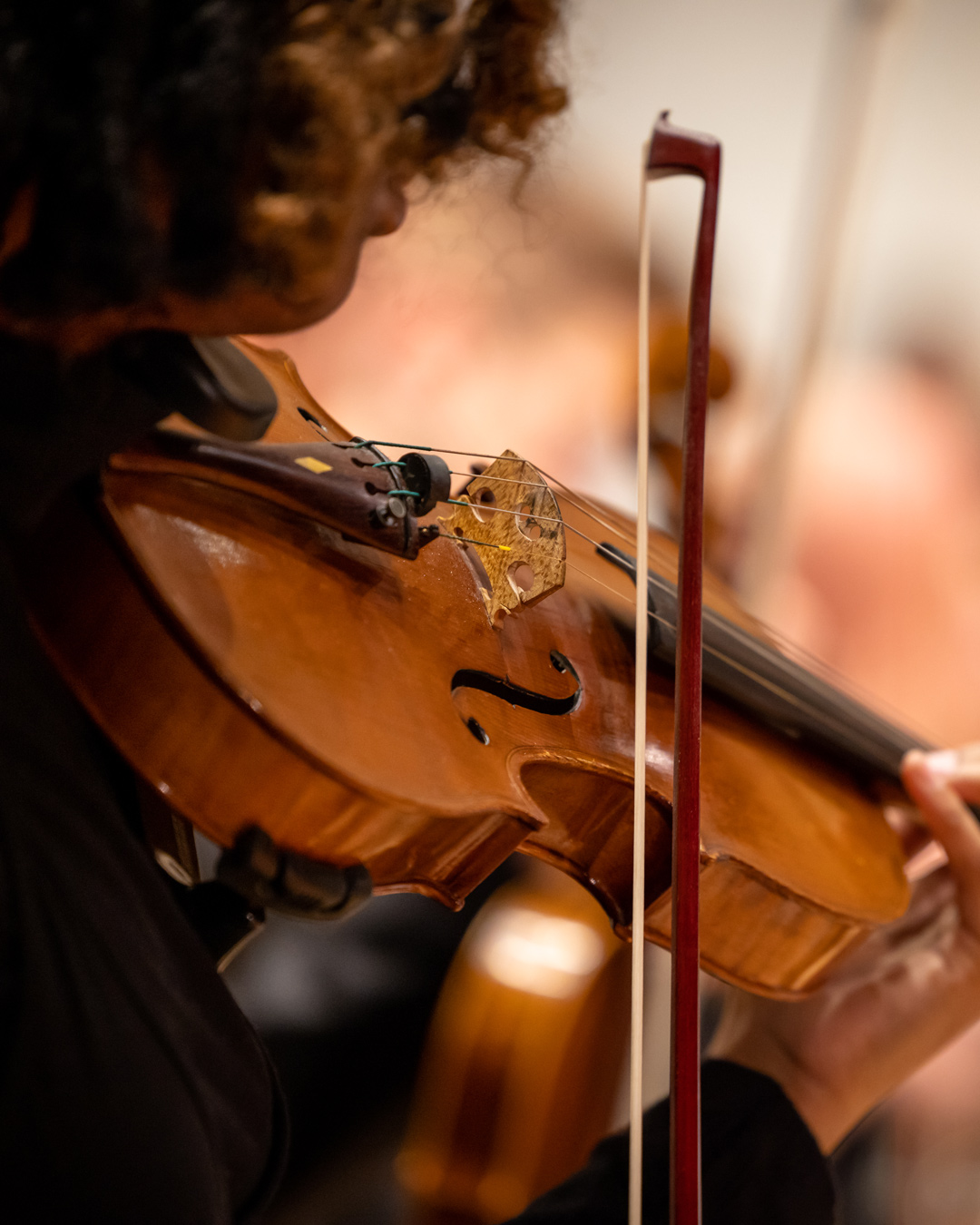 Image for Chamber Music Recital