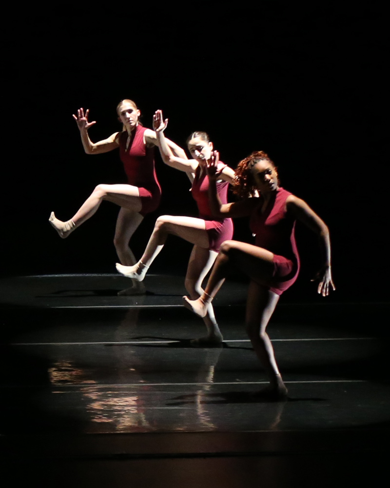 Image for DanceWorks Chicago with the Dance Ensemble