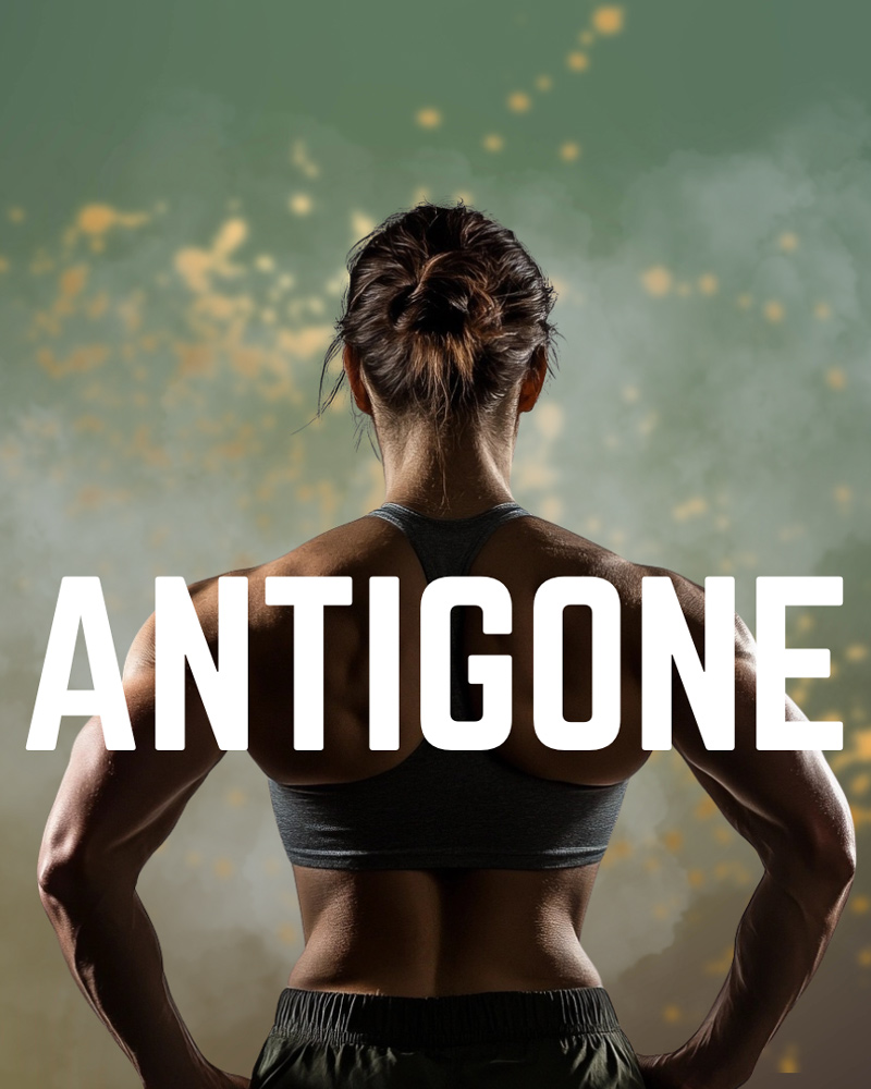 Image for Antigone