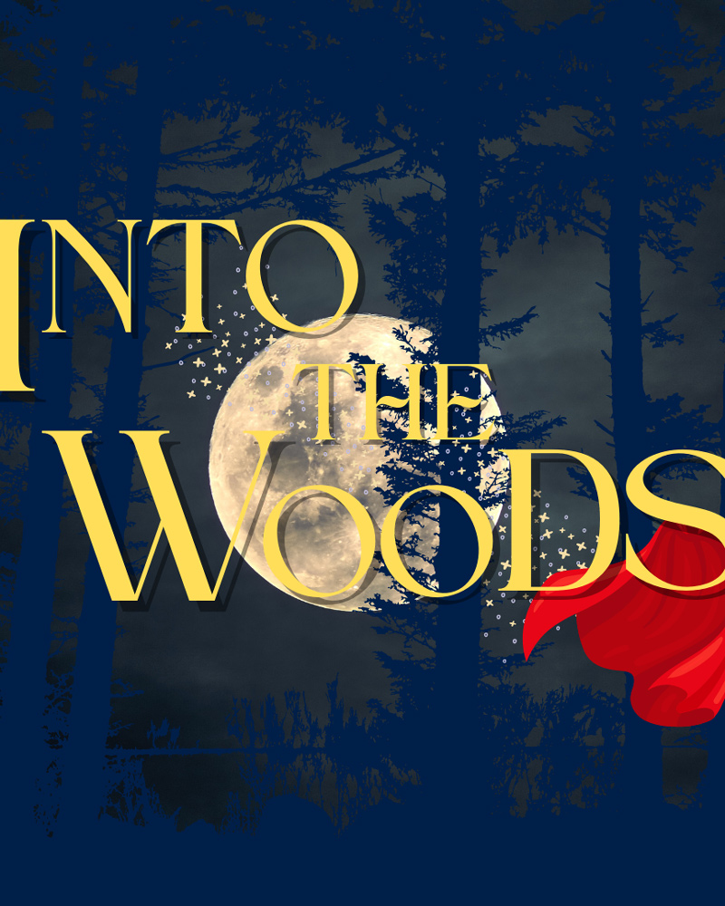 Image for Into the Woods
