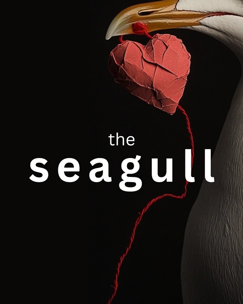 Image for The Seagull