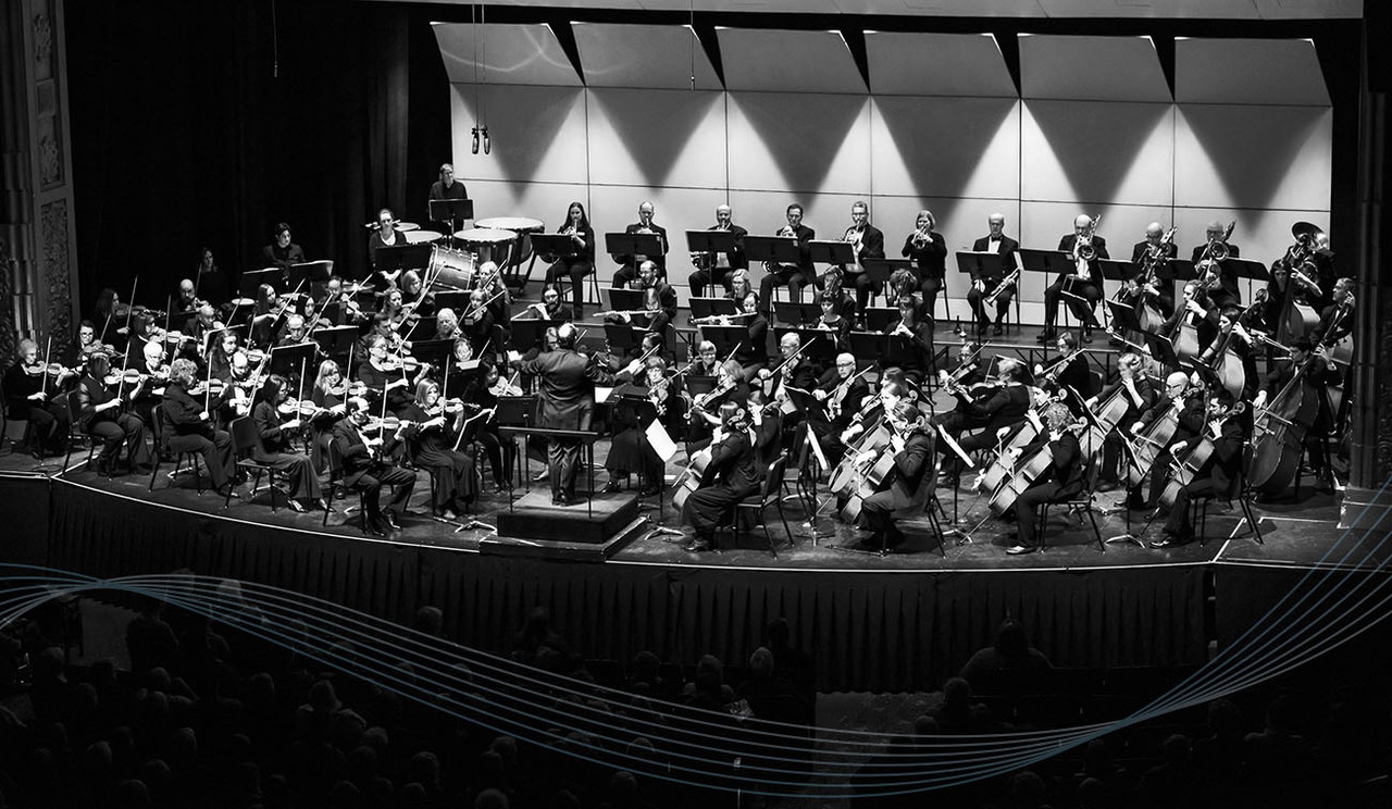Image for BSO Musicians