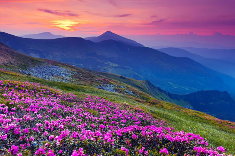 Image for Appalachian Spring