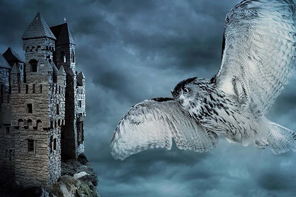 Image for Halloween at Hogwarts