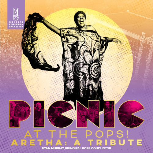 Image for Picnic at the Pops! Aretha: A Tribute
