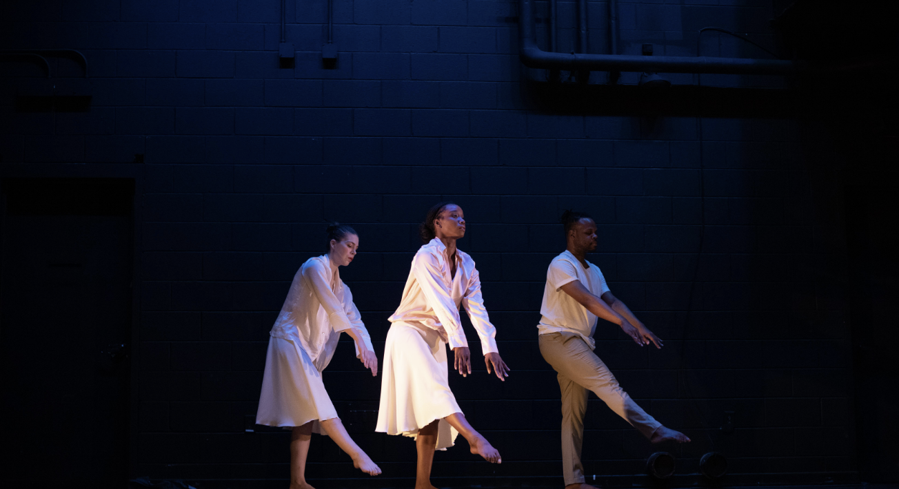 Image for Riddick Dance Company: The Mixed Bag Series