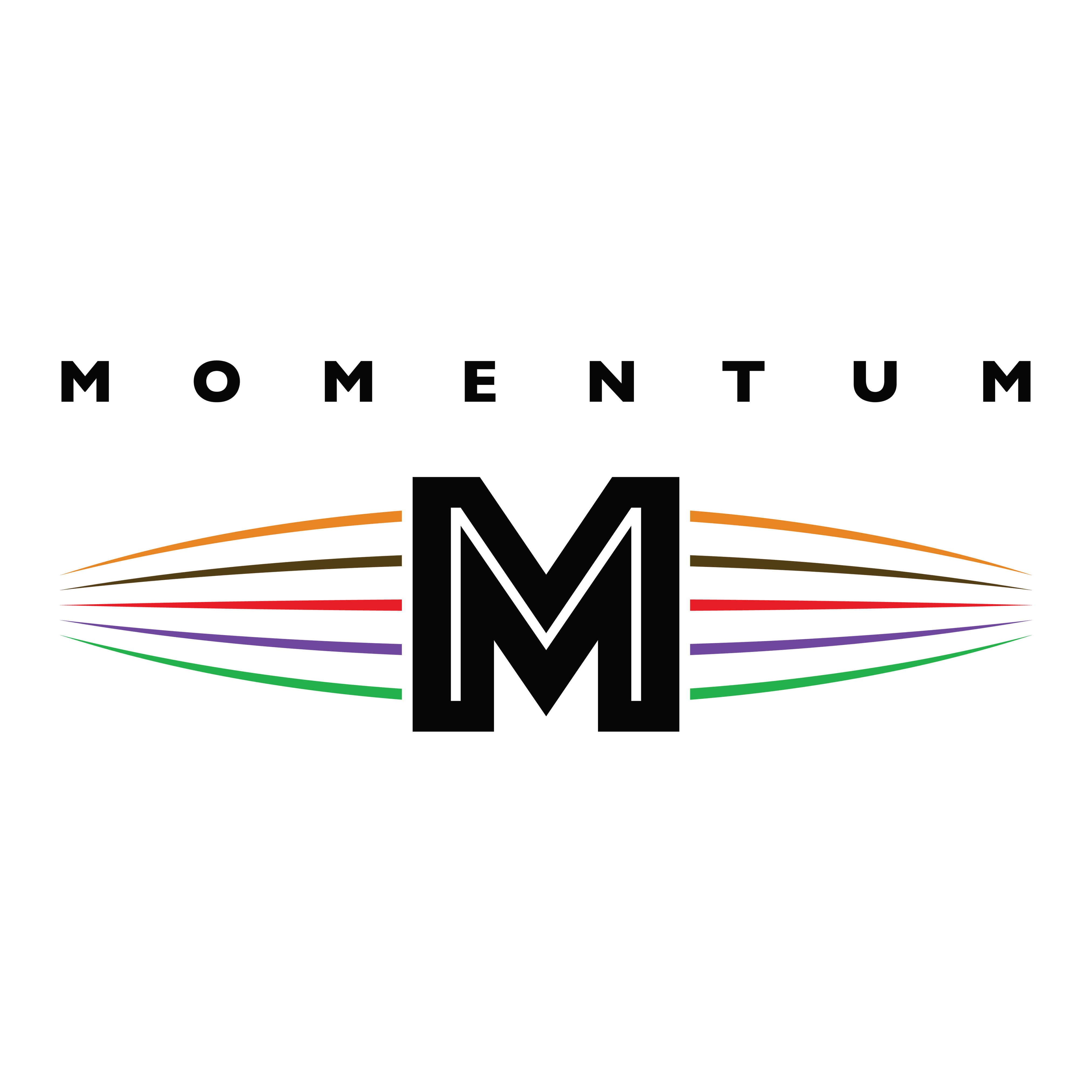 Image for Momentum
