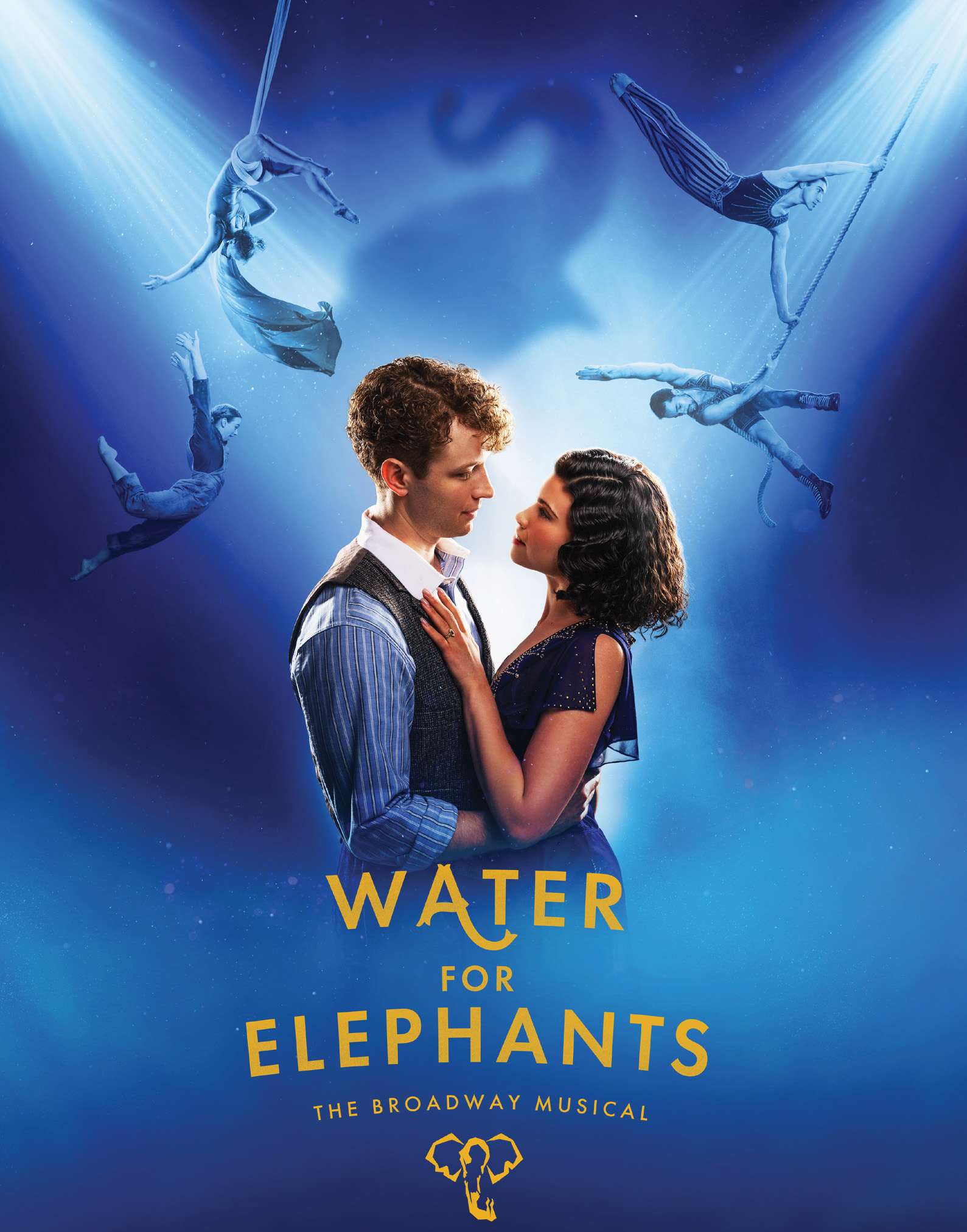 Image for Water for Elephants