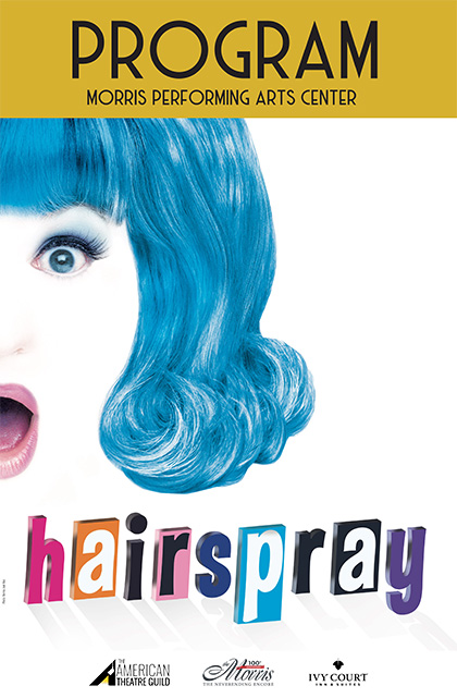 Image for HAIRSPRAY