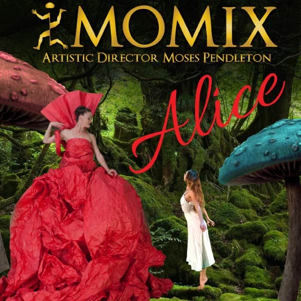 Image for MOMIX ALICE
