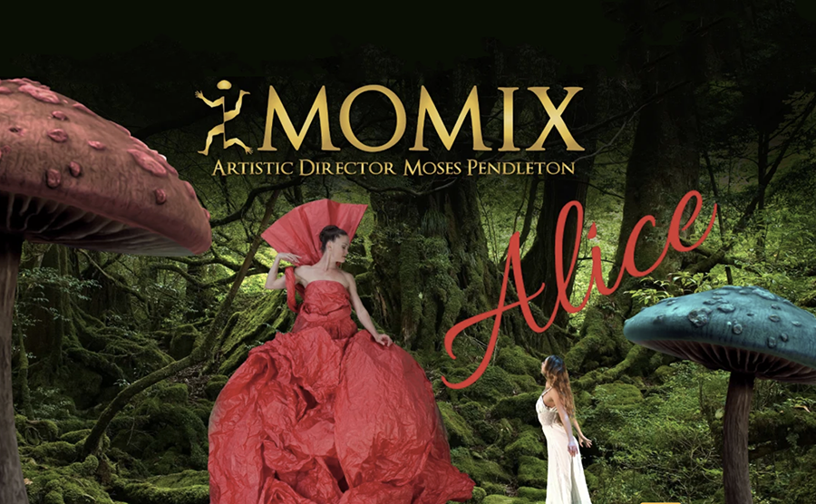 Image for MOMIX ALICE