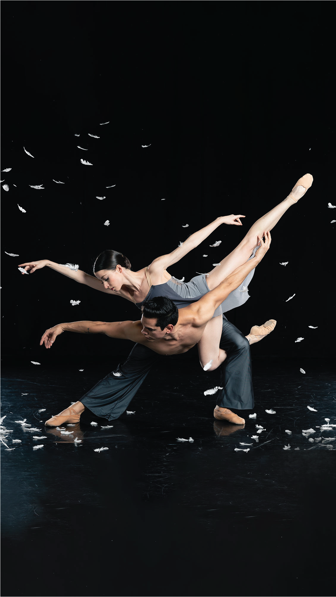 Image for BalletMet at the Ohio - Copy