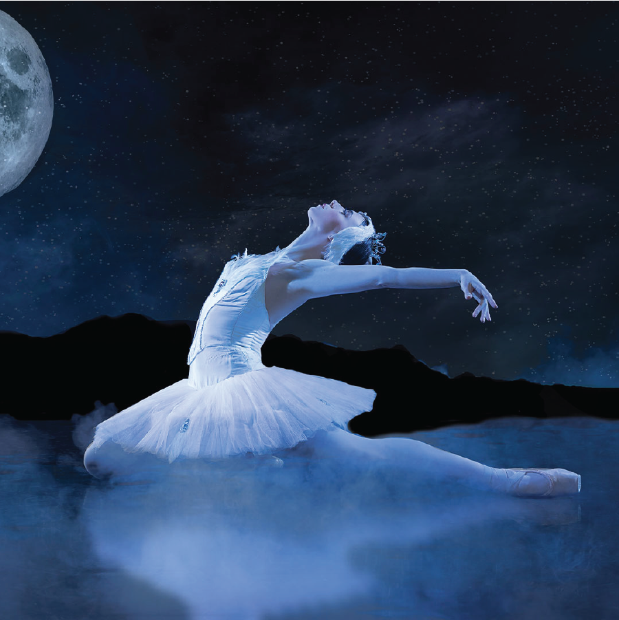 Image for Swan Lake