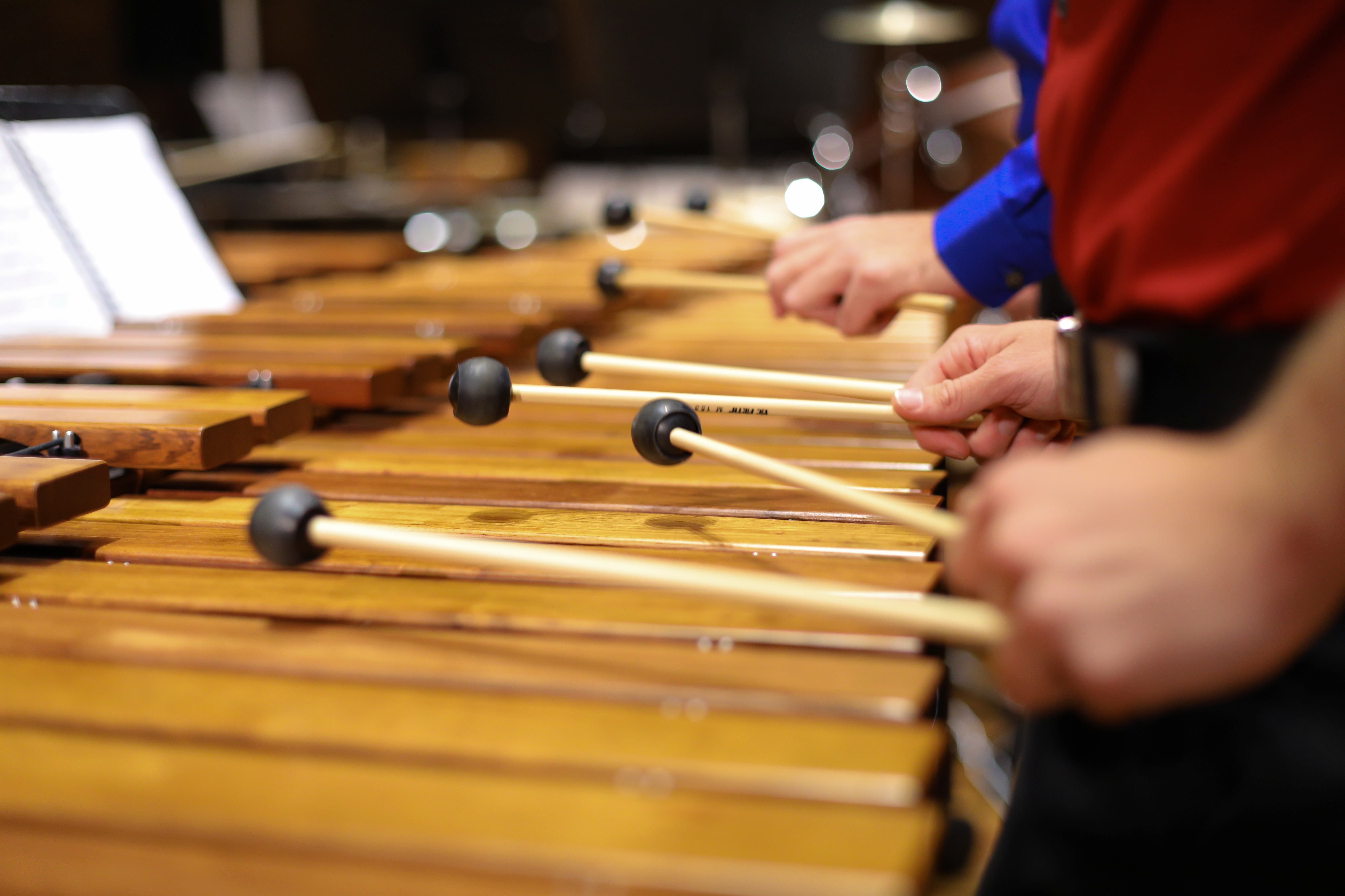 Image for The Furman University Percussion Ensemble Fall 2023 Concert