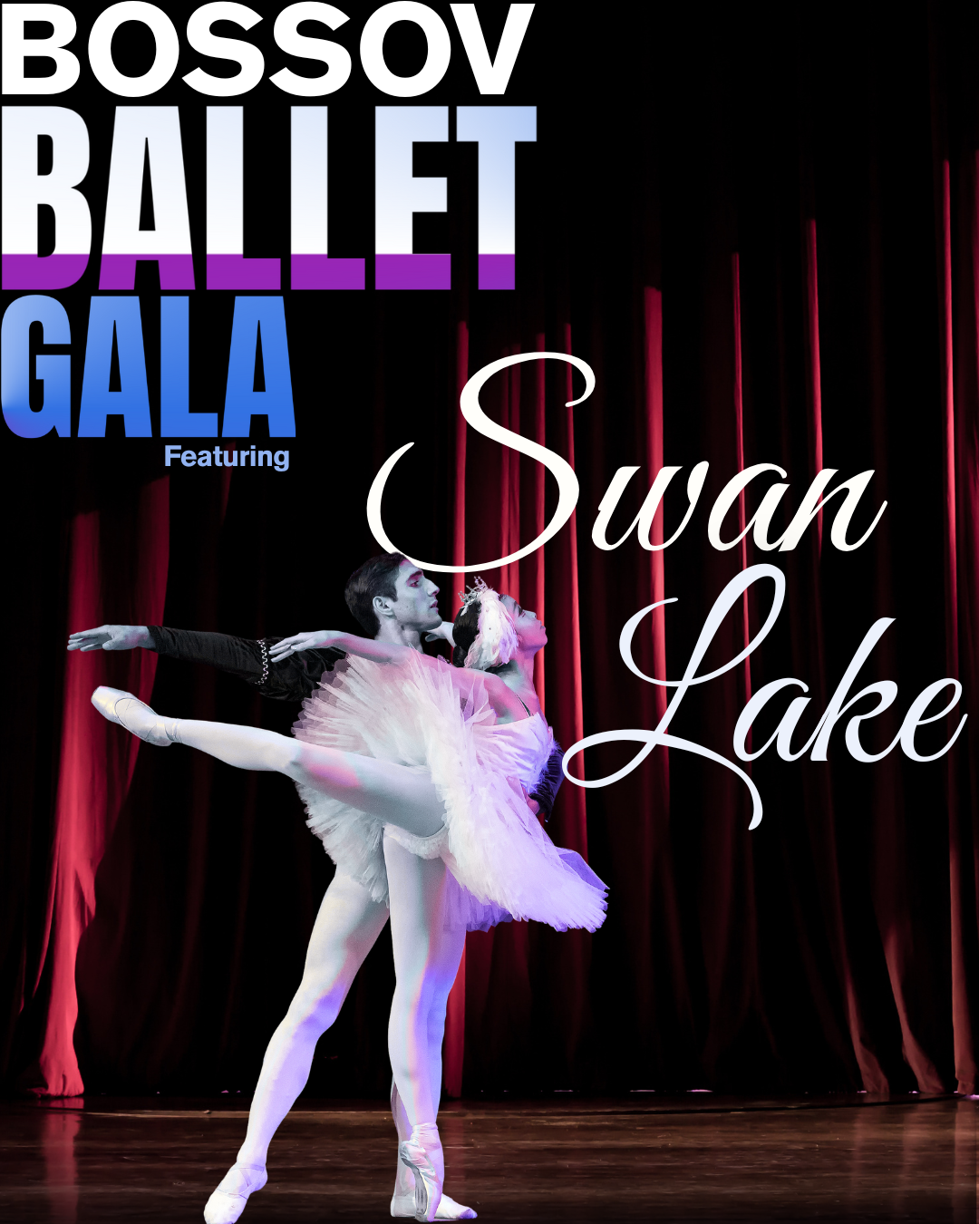 Image for BALLET GALA: Swan Lake