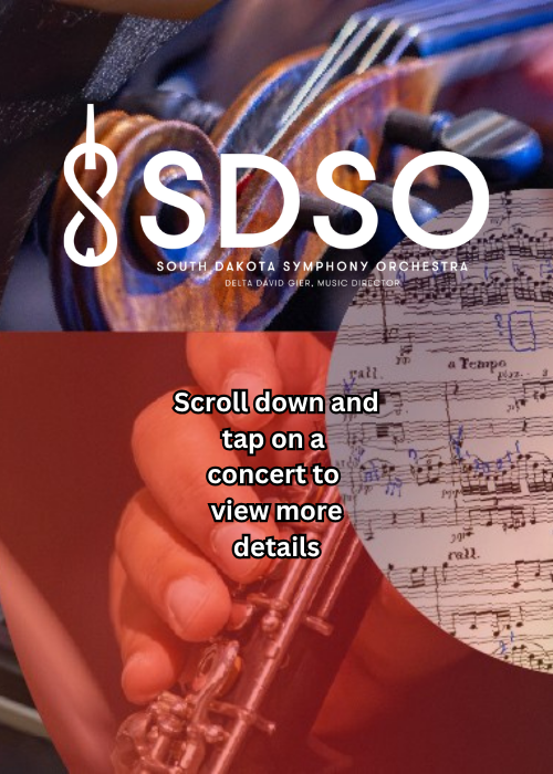 Image for The SDSO Digital Program