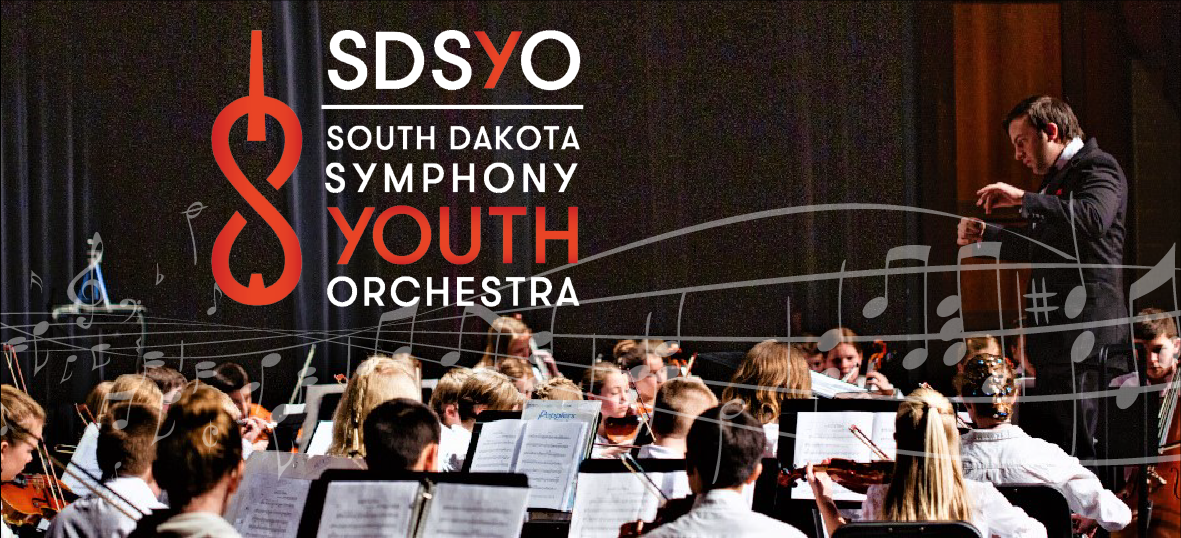 Image for Youth Orchestra
